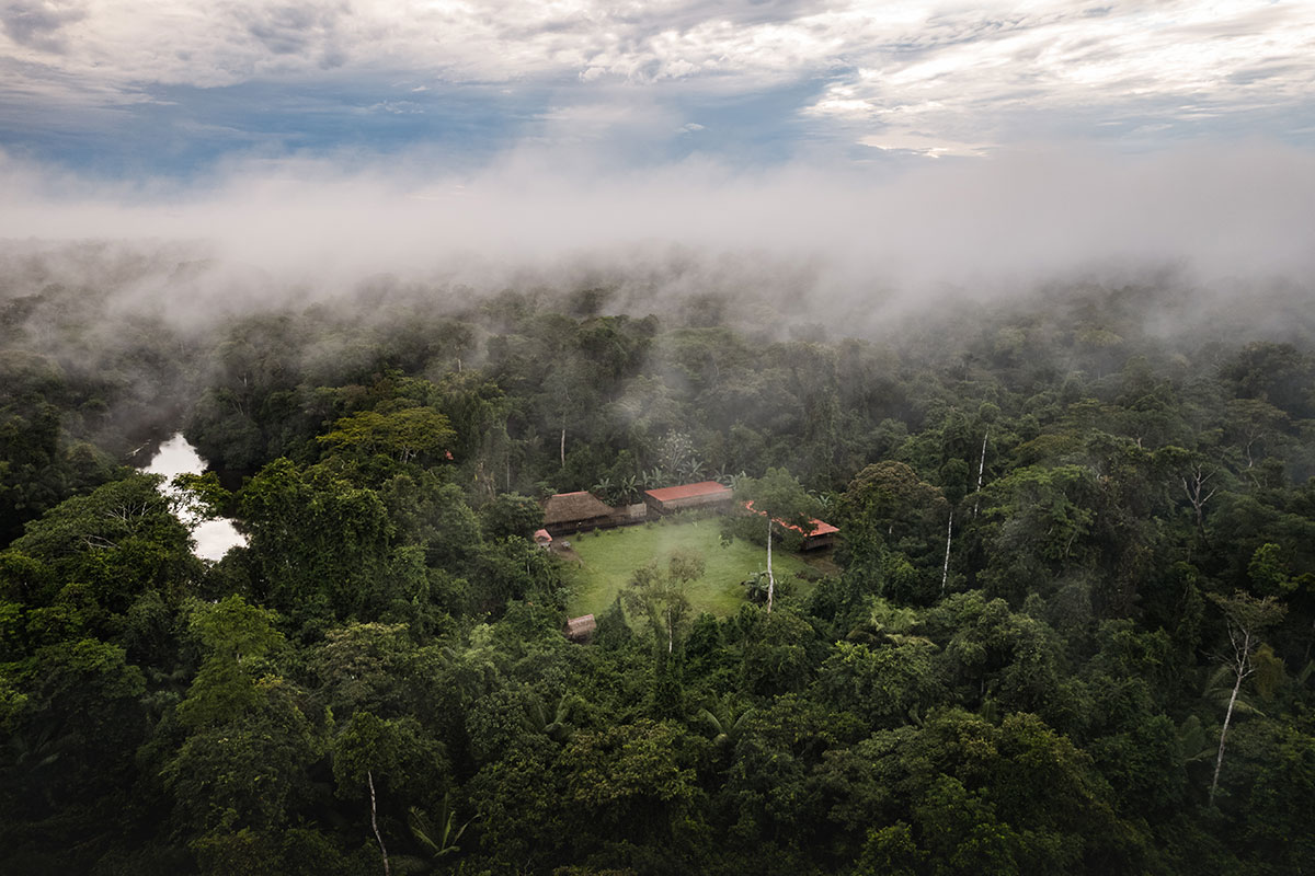 cuyabeno lodge ecuador amazon wildlife reserve tucan