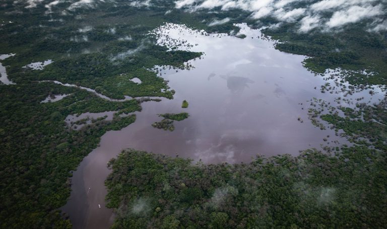 Reserva De Producción De Fauna Cuyabeno | Tucan Lodge Cuyabeno