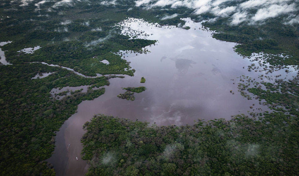 cuyabeno amazon fauna lake