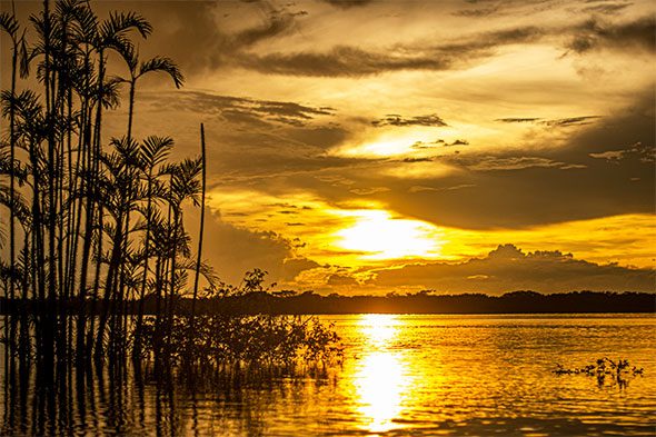 tour cuyabeno ideal ecuador turismo amazonas