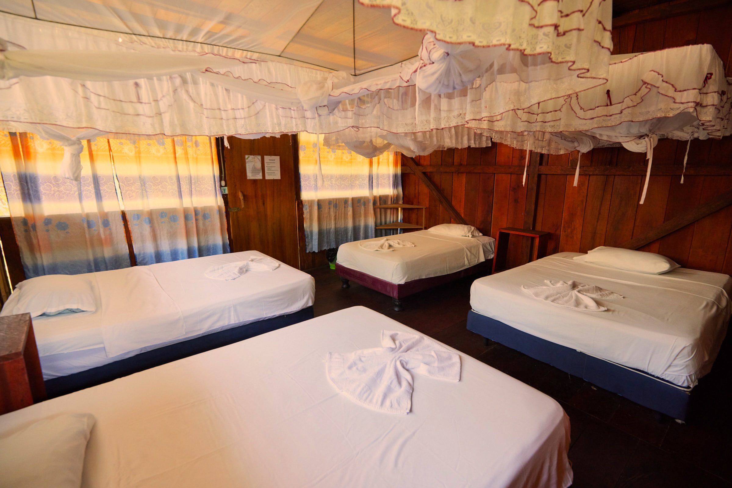 Alojamiento compartido con camas equipadas con mosquiteros dentro de una cabaña de eco-lodge en la selva amazónica