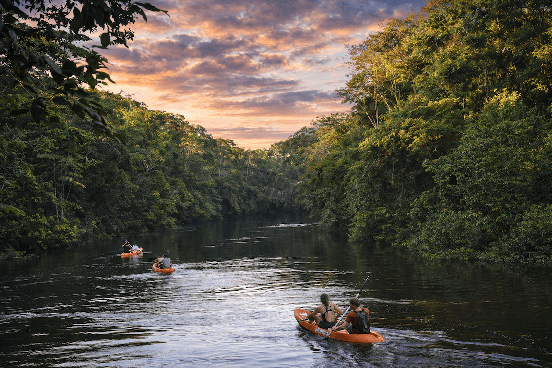 Kayakers paddling along a calm Amazon River surrounded by dense jungle at sunset.