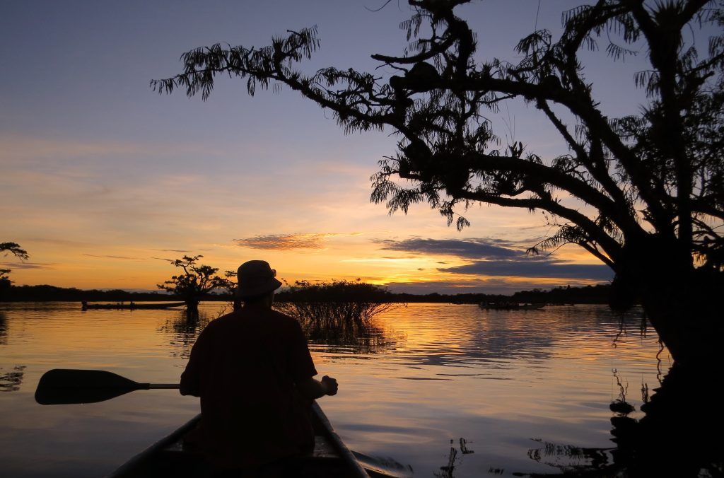 canoe sunrise view wetlands river jungle forest amazon tucan cuyabeno lodge canoe sunrise view wetlands river jungle forest amazon tucan cuyabeno lodge