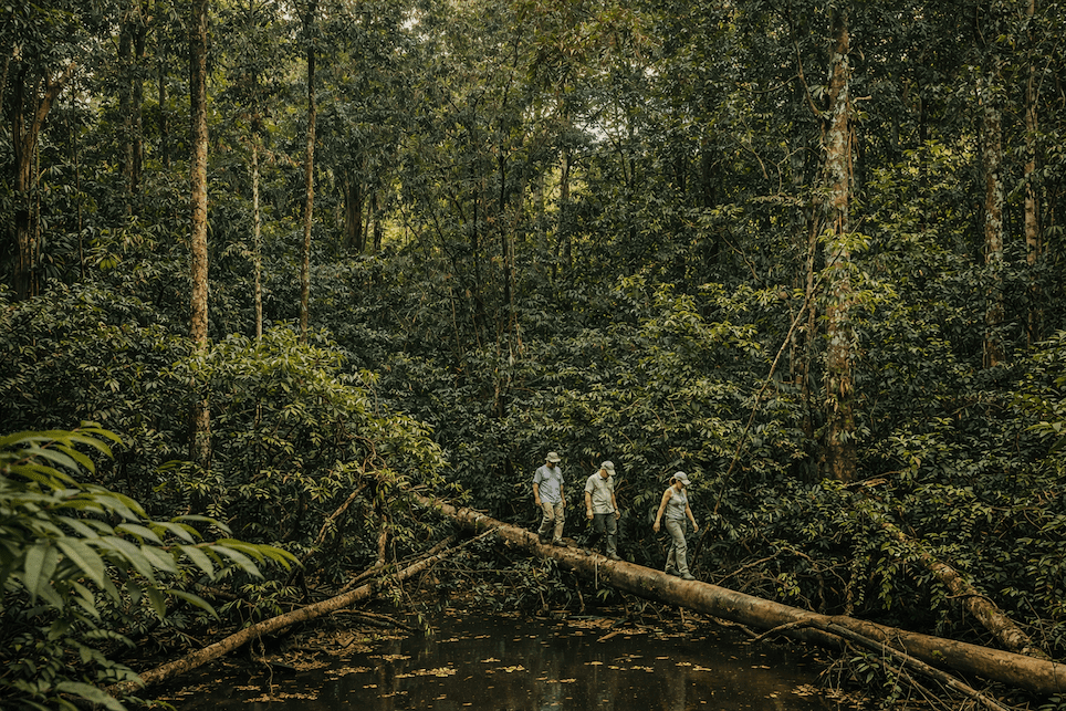 Small group hiking along a fallen tree during a guided trek in the Amazon rainforest.