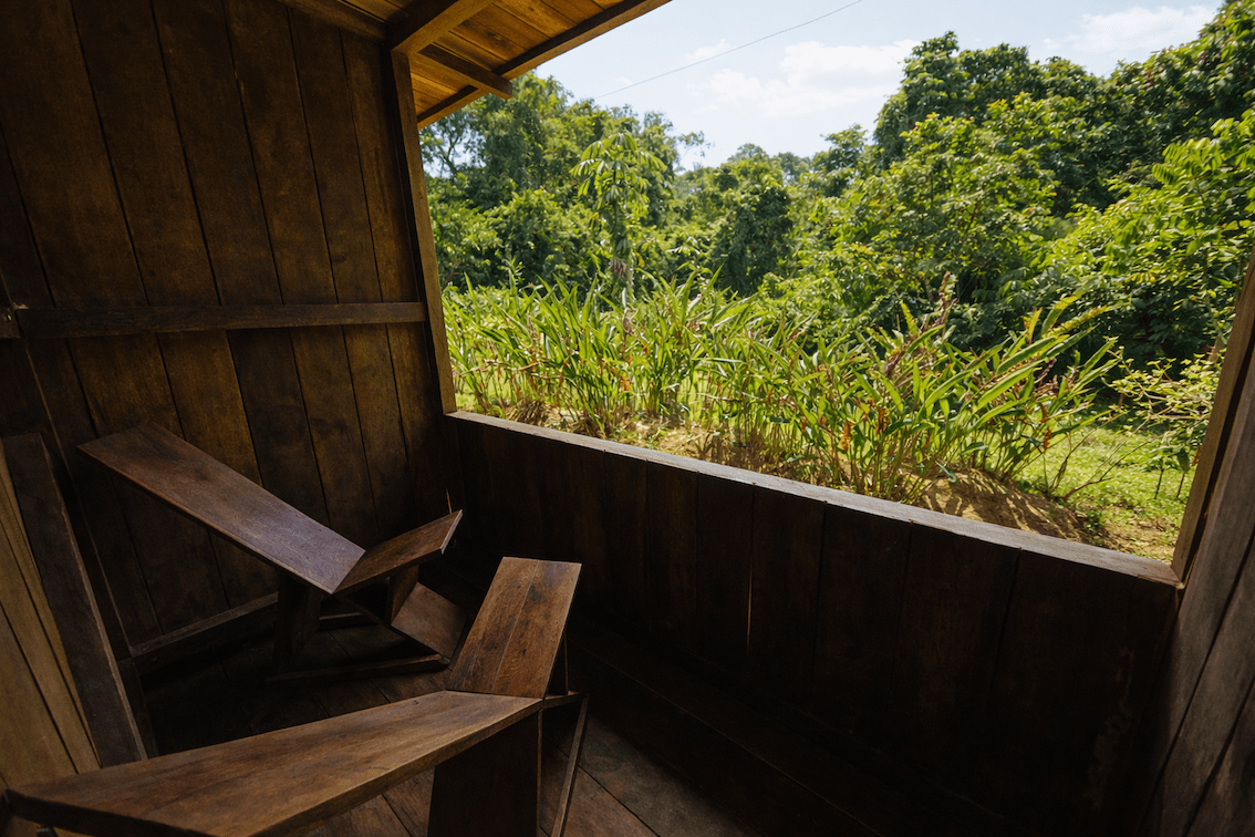 balcony lounge with a jungle amazonian rainforest view tucan cuyabeno lodge in Ecuador