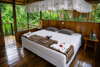 jungle_suite jungle_suite